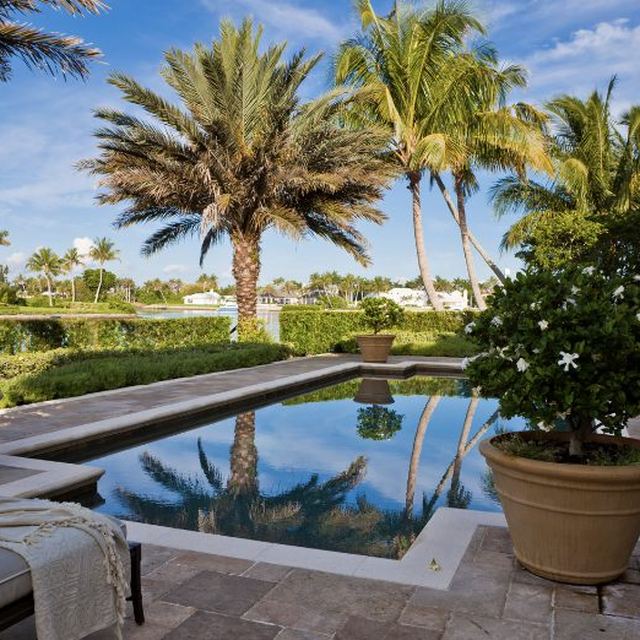 Resort-style pool and palms in Paradise Valley, Arizona