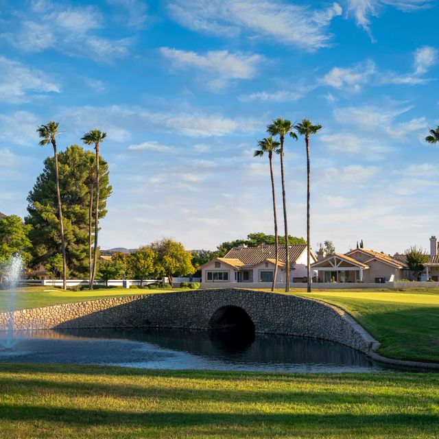 Golf course, palms and single-level homes in Sun City, Arizona
