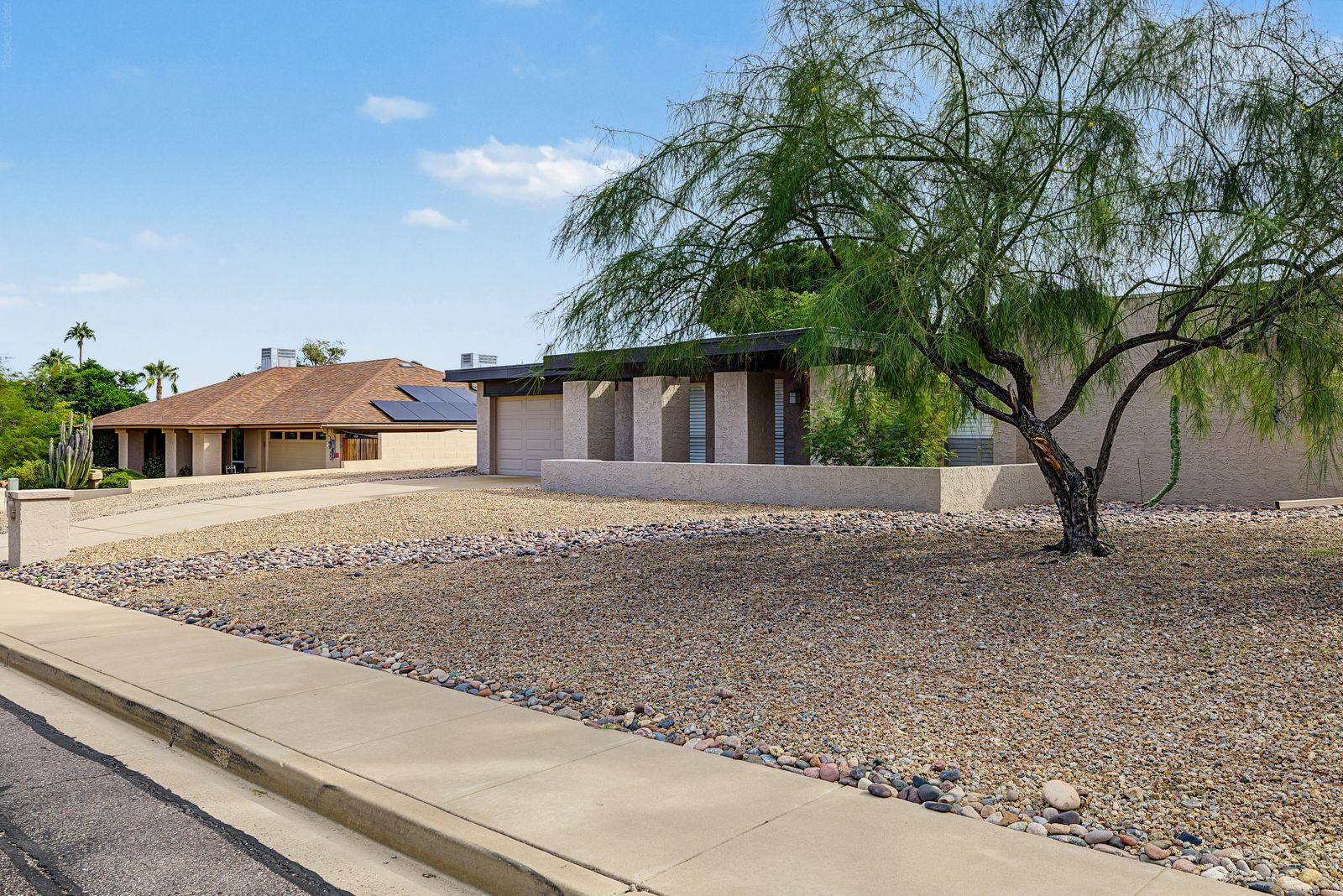 Street view of the home and mature desert tree